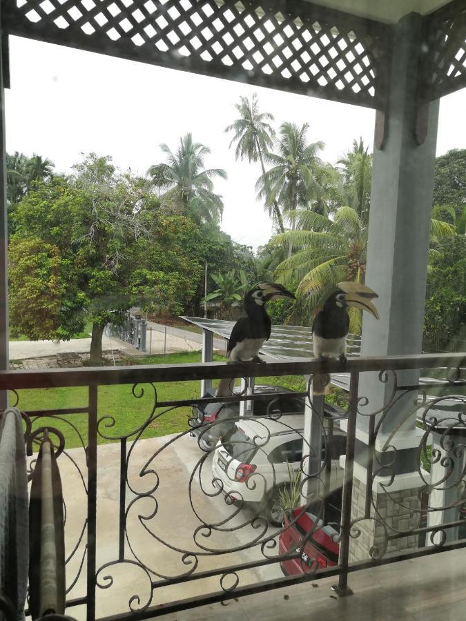 Darney'S Homestay Kg Bangau Tanjung 淡马鲁 外观 照片